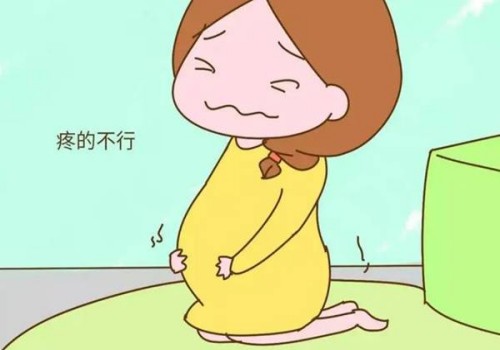 广州试管助孕价格：麻子的功效和作用一览，吃麻子的这些好处要知道