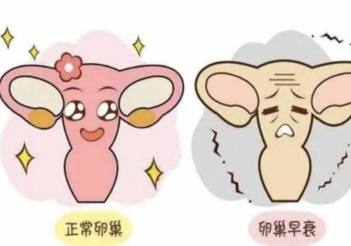 宝宝发烧的常见症状一览，体温升高、食欲不振均是主要症状