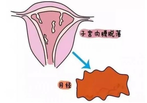 婴儿便秘别着急，多吃这三种蔬菜可以轻松缓解便秘症状
